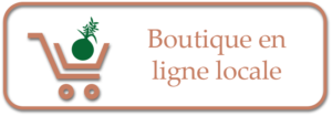 Ma boutique de kokédamas en ligne La Vitrine d'Alsace