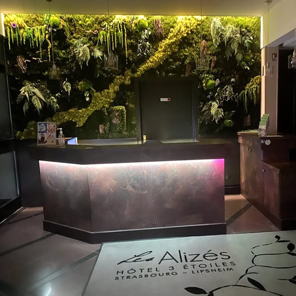 Mur végétal réception hôtel